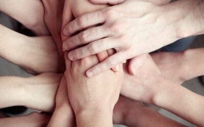 Leadership Insights – Workplace Engagement | Liddell Consulting March Newsletter