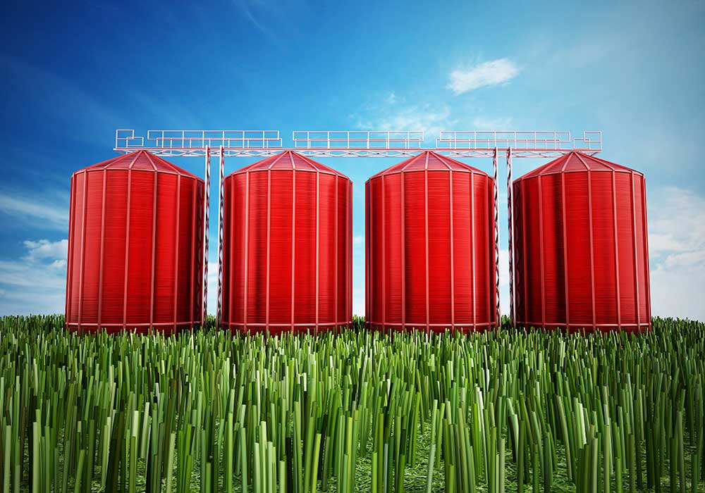 silo mentality business