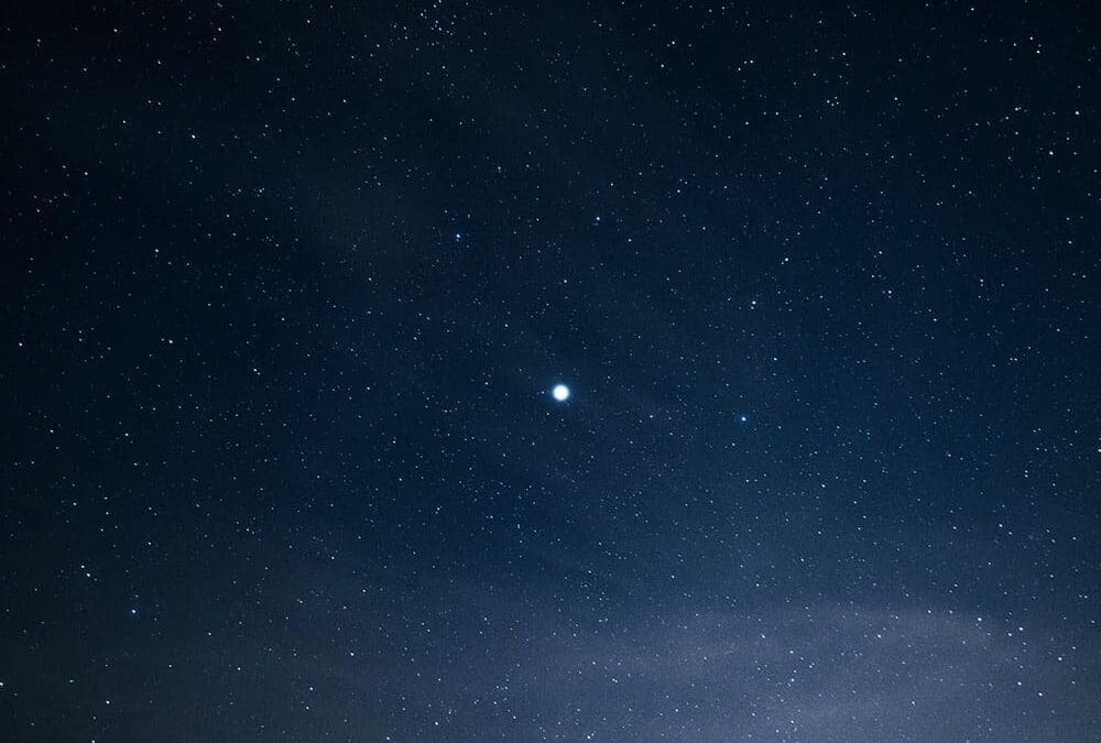 The 12 Days of Leadership – Fostering an Environment of Transparency, Collaboration & Trust