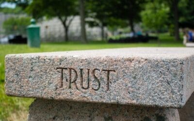 Trust, Engagement, Culture and Success – Leadership Insights from Liddell Consulting