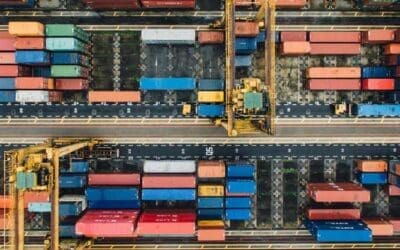 Prioritizing Leadership Succession And What to Do if You Haven’t – Leadership Insights from Liddell Consulting