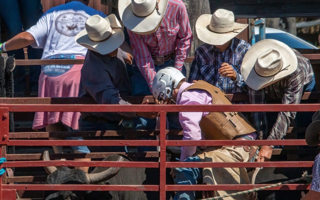 5 Lessons We Can Learn About Healthy Conflict from Elon Musk