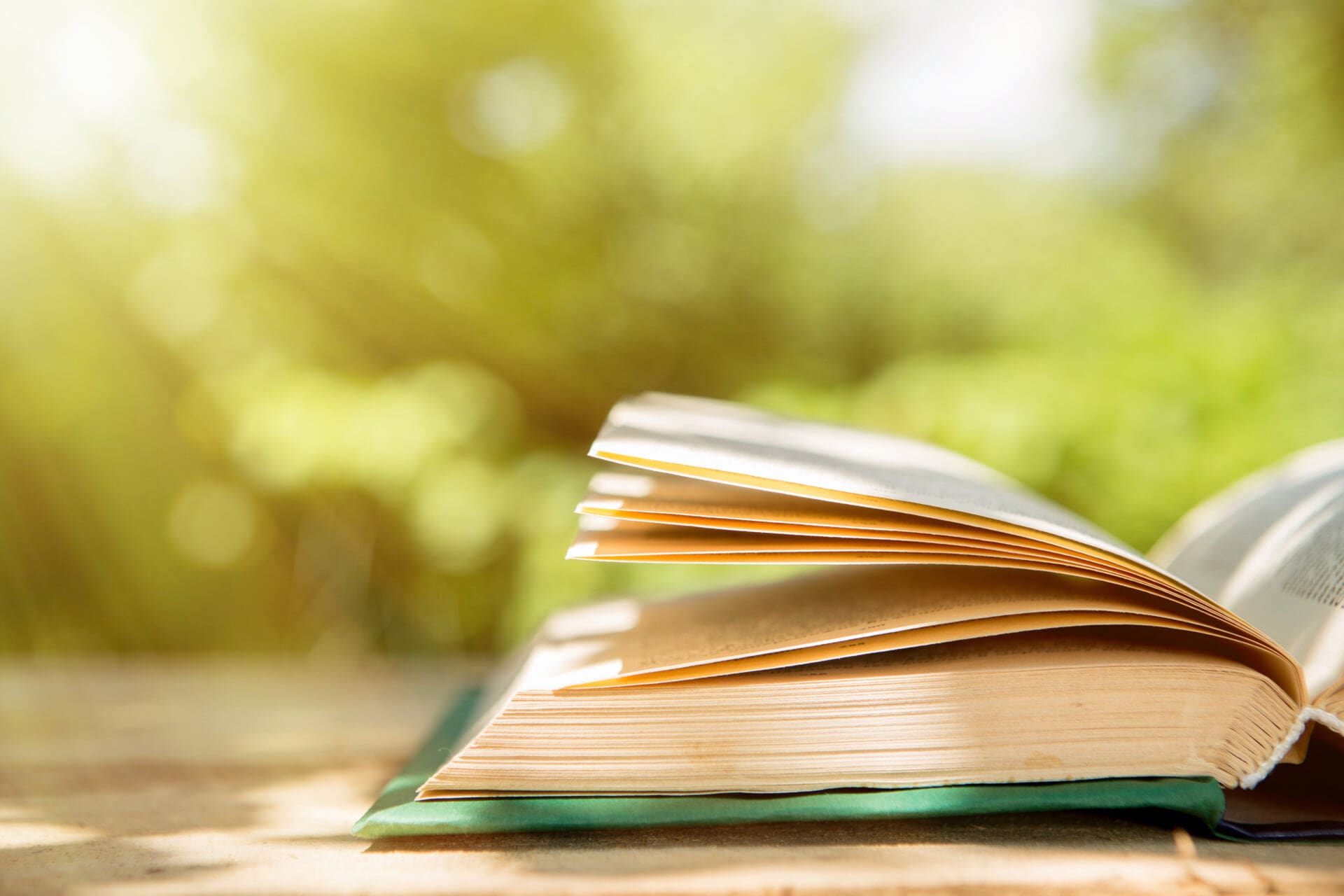 Leadership reads book on picnic table